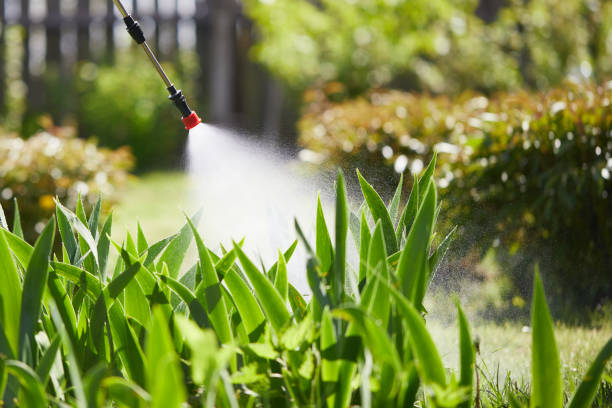 Tamper-Resistant Bait Stations for Rodents in Kingsford
