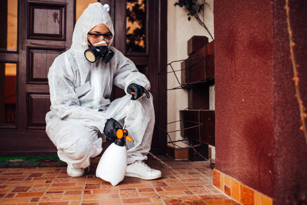 Attic and Crawl Space Rodent Treatment in Kingsford